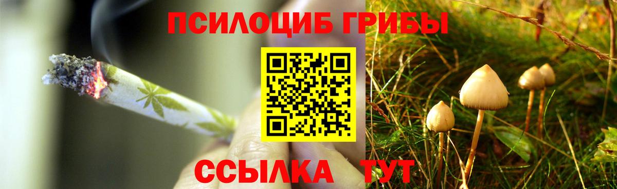 Псилоцибиновые грибы Psilocybine cubensis  Вход с VPN  Анапа 